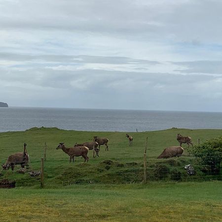 Coral Cabins Dunvegan (Isle of Skye) Quarto foto