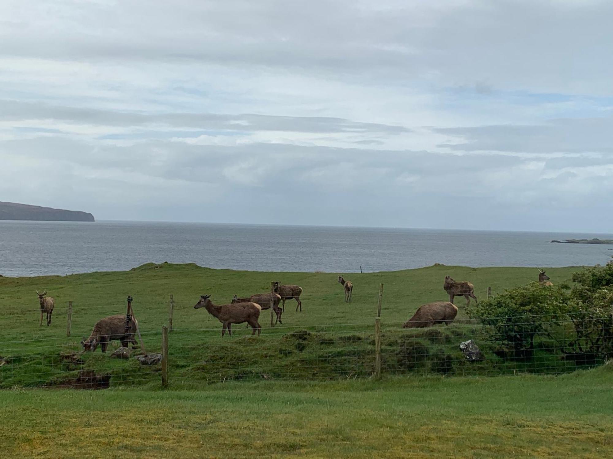 Coral Cabins Dunvegan (Isle of Skye) Quarto foto